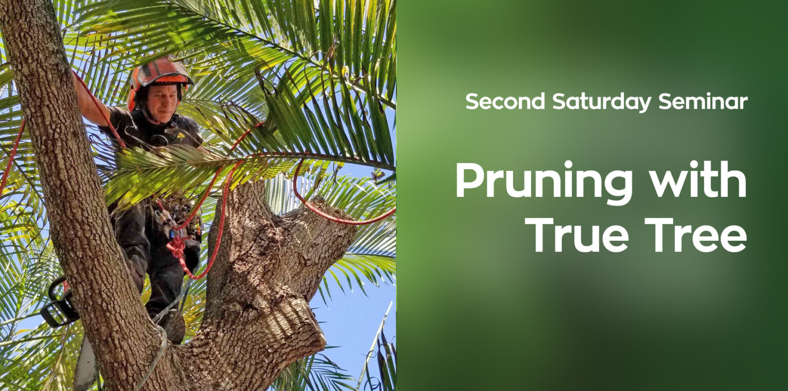 Second Saturday Seminar Pruning With True Tree Miami Beach Botanical 